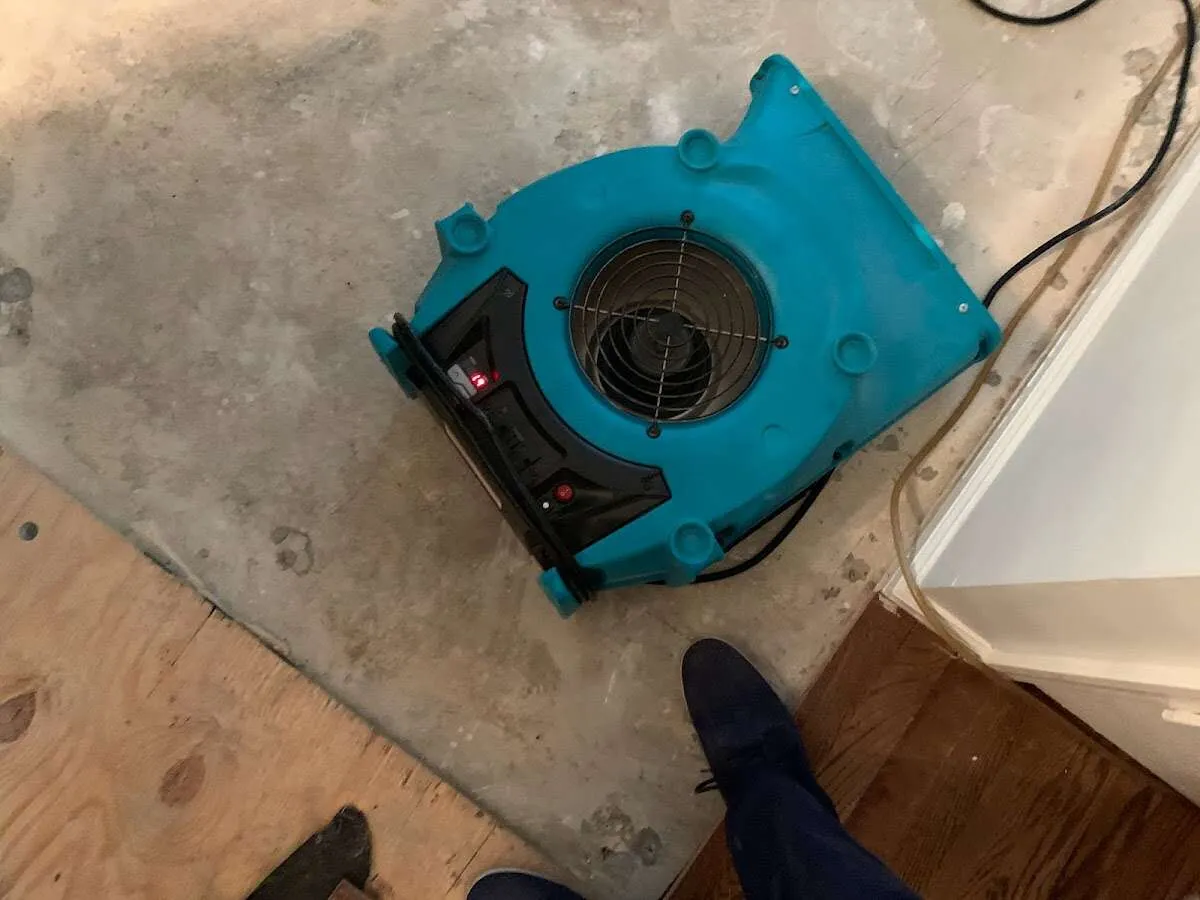 Air mover drying subfloor during Leak Detection & Repair in Lyons
